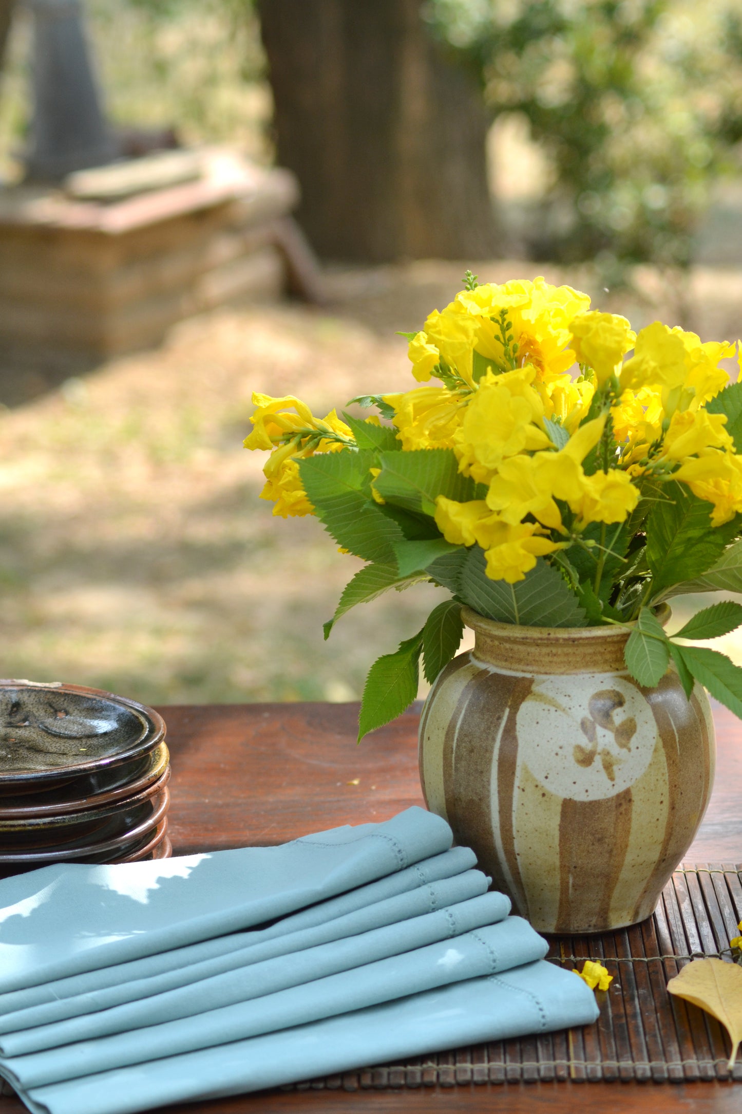 Solid Napkin Set of 2 - Beading: Sky