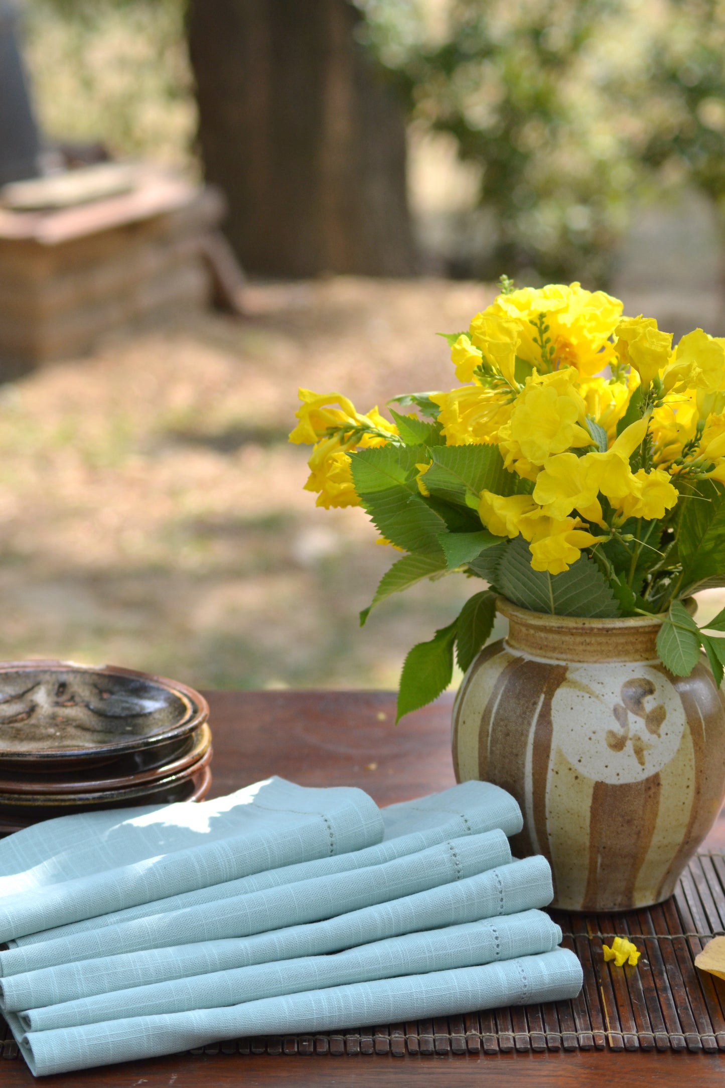 Solid Napkin Set of 2 - Beading: Sky