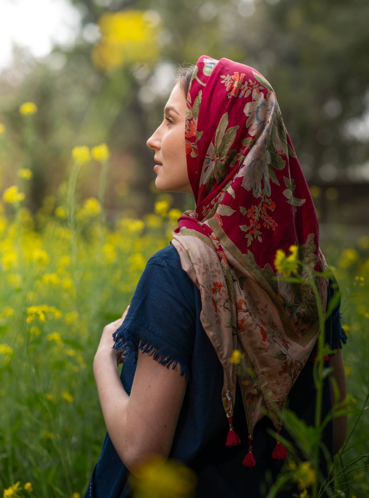 Border Scarf : Chelsea Rani Tabby Silk