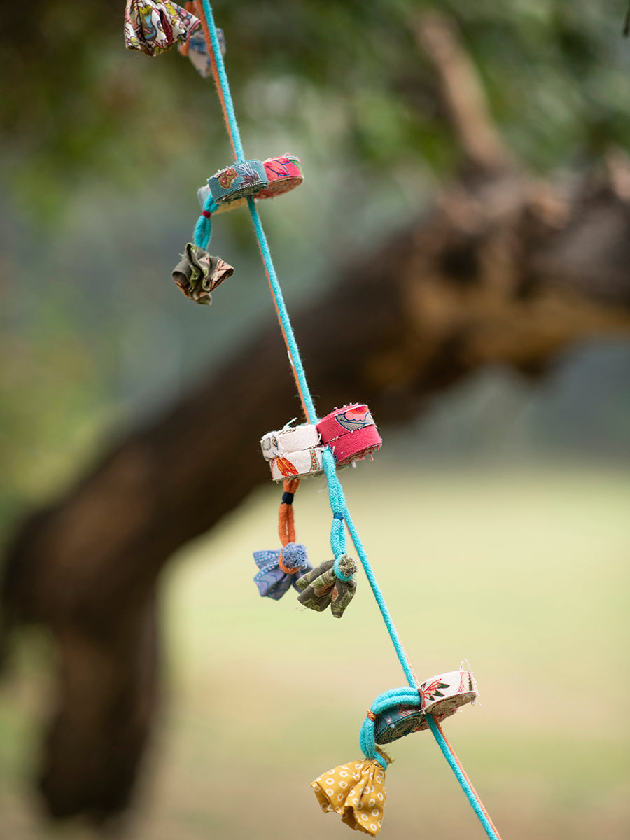 Pines Hanging  : Multi