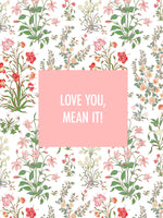 Love You, Mean It