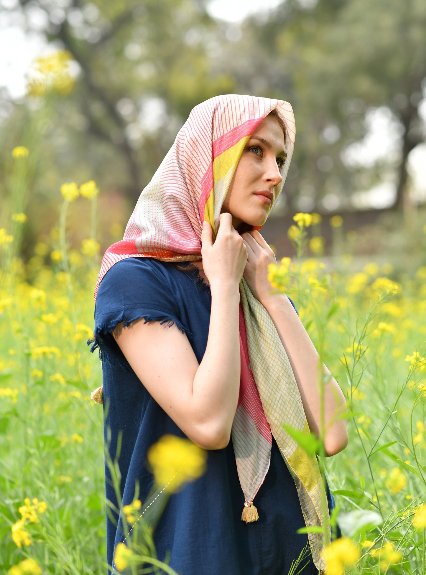Border Scarf Recoco : Multi Tabby Silk